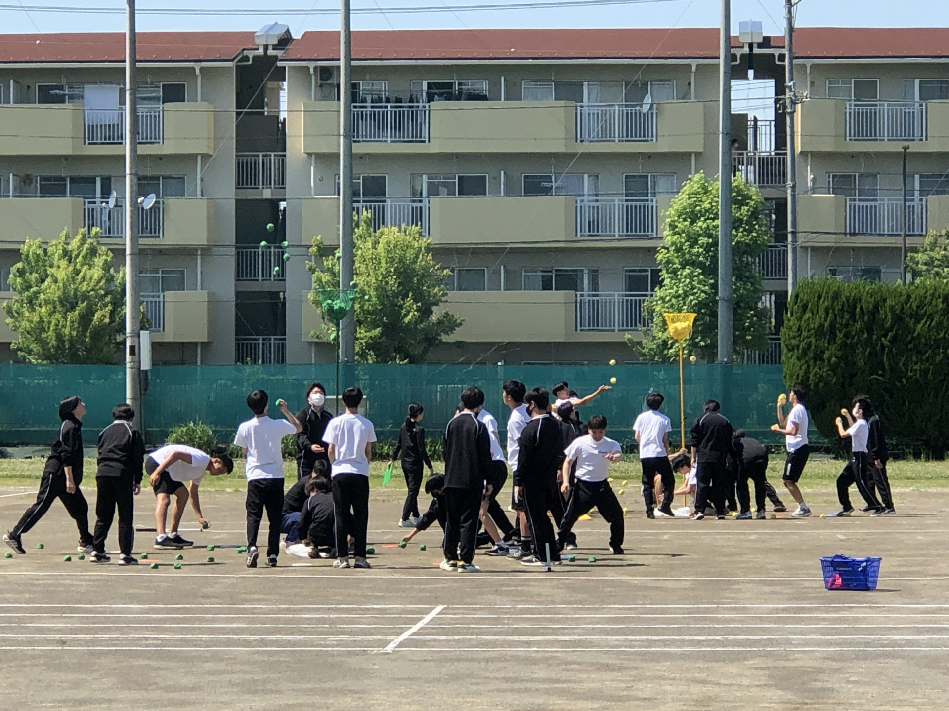 画像 (6)